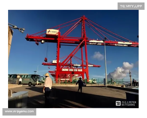 马来西亚足协预计就归化案向CAS上诉，法律费用高达30.2万美元